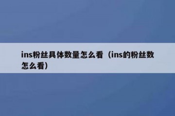 ins粉丝具体数量怎么看（ins的粉丝数怎么看）