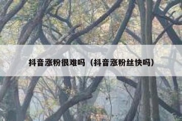 抖音涨粉很难吗（抖音涨粉丝快吗）