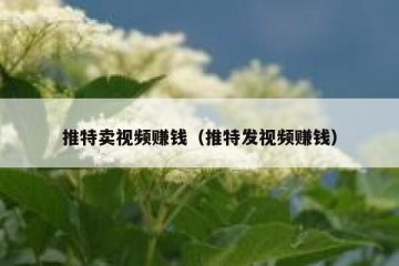 推特卖视频赚钱（推特发视频赚钱）