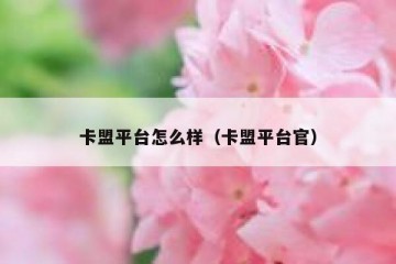 卡盟平台怎么样（卡盟平台官）