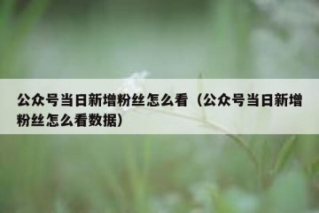 公众号当日新增粉丝怎么看（公众号当日新增粉丝怎么看数据）