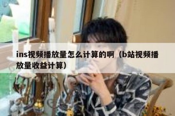 ins视频播放量怎么计算的啊（b站视频播放量收益计算）