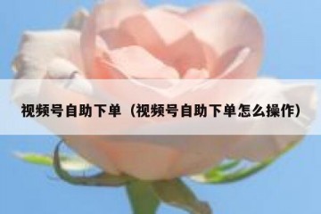 视频号自助下单（视频号自助下单怎么操作）