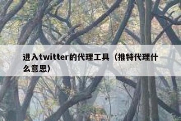 进入twitter的代理工具（推特代理什么意思）