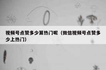 视频号点赞多少算热门呢（微信视频号点赞多少上热门）