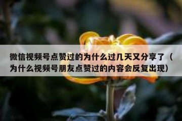 微信视频号点赞过的为什么过几天又分享了（为什么视频号朋友点赞过的内容会反复出现）