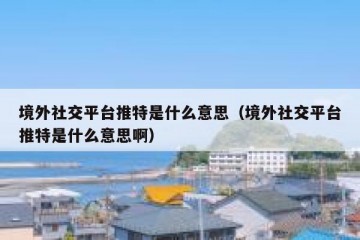 境外社交平台推特是什么意思（境外社交平台推特是什么意思啊）