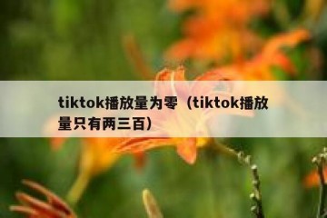 tiktok播放量为零（tiktok播放量只有两三百）