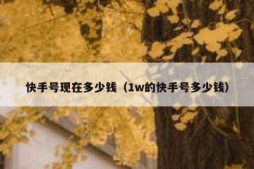 快手号现在多少钱（1w的快手号多少钱）