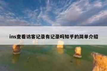 ins查看访客记录有记录吗知乎的简单介绍