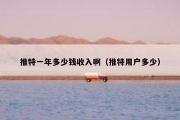 推特一年多少钱收入啊（推特用户多少）