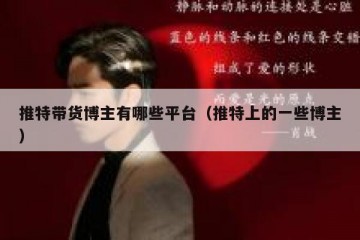 推特带货博主有哪些平台（推特上的一些博主）