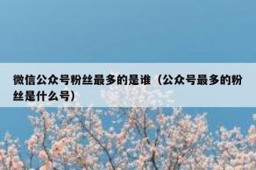 微信公众号粉丝最多的是谁（公众号最多的粉丝是什么号）