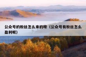 公众号的粉丝怎么来的呀（公众号有粉丝怎么盈利呢）