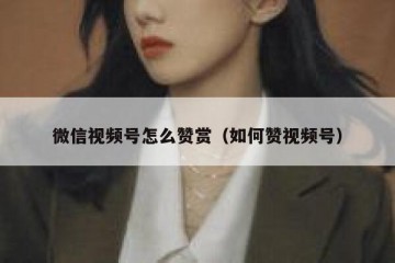 微信视频号怎么赞赏（如何赞视频号）