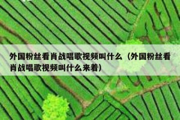 外国粉丝看肖战唱歌视频叫什么（外国粉丝看肖战唱歌视频叫什么来着）