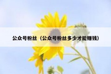 公众号粉丝（公众号粉丝多少才能赚钱）