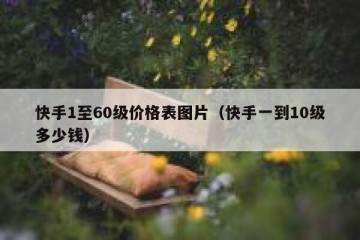 快手1至60级价格表图片（快手一到10级多少钱）