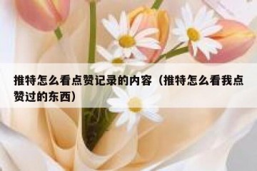 推特怎么看点赞记录的内容（推特怎么看我点赞过的东西）