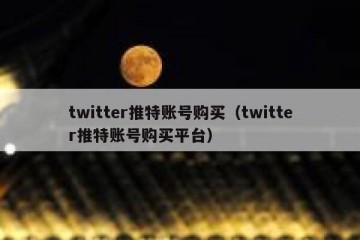 twitter推特账号购买（twitter推特账号购买平台）