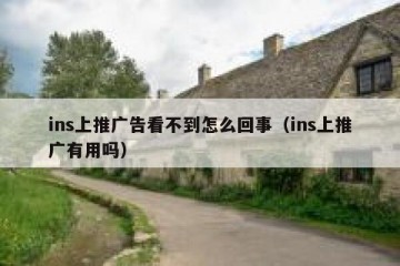 ins上推广告看不到怎么回事（ins上推广有用吗）