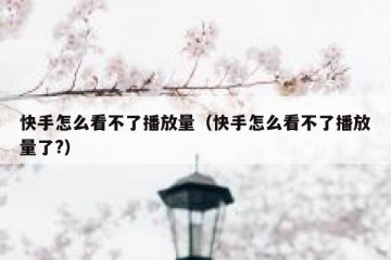 快手怎么看不了播放量（快手怎么看不了播放量了?）