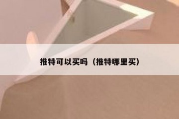 推特可以买吗（推特哪里买）