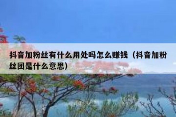 抖音加粉丝有什么用处吗怎么赚钱（抖音加粉丝团是什么意思）