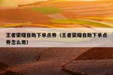 王者荣耀自助下单点券（王者荣耀自助下单点券怎么用）
