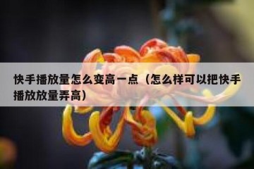 快手播放量怎么变高一点（怎么样可以把快手播放放量弄高）
