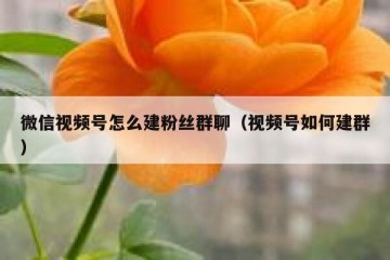 微信视频号怎么建粉丝群聊（视频号如何建群）