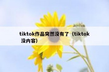 tiktok作品突然没有了（tiktok 没内容）