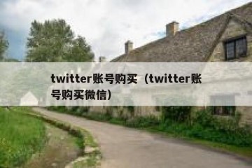 twitter账号购买（twitter账号购买微信）
