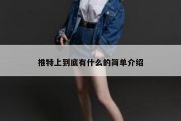 推特上到底有什么的简单介绍