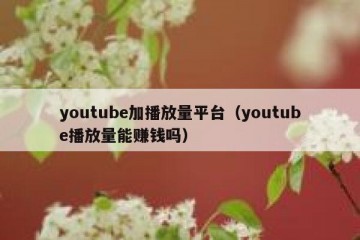 youtube加播放量平台（youtube播放量能赚钱吗）
