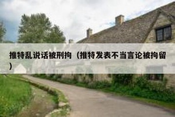 推特乱说话被刑拘（推特发表不当言论被拘留）