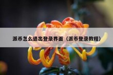 派币怎么退出登录界面（派币登录教程）