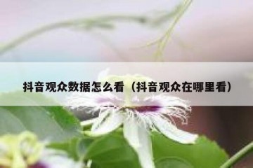 抖音观众数据怎么看（抖音观众在哪里看）