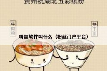 粉丝软件叫什么（粉丝门户平台）