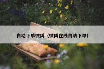 自助下单微博（微博在线自助下单）