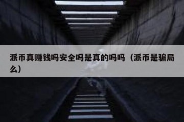 派币真赚钱吗安全吗是真的吗吗（派币是骗局么）
