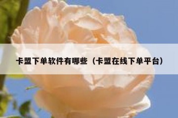 卡盟下单软件有哪些（卡盟在线下单平台）
