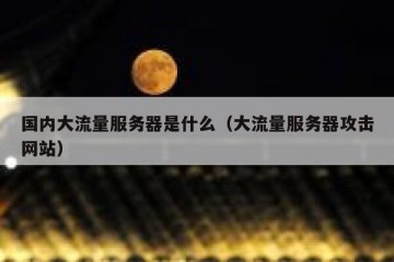 国内大流量服务器是什么（大流量服务器攻击网站）