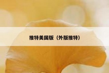 推特美国版（外版推特）