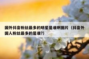 国外抖音粉丝最多的明星是谁啊图片（抖音外国人粉丝最多的是谁?）