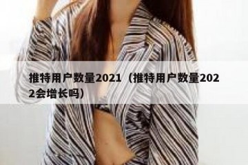 推特用户数量2021（推特用户数量2022会增长吗）