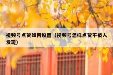 视频号点赞如何设置（视频号怎样点赞不被人发现）