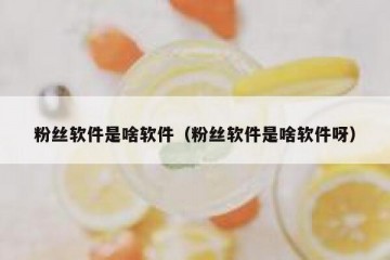 粉丝软件是啥软件（粉丝软件是啥软件呀）