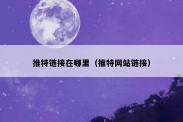 推特链接在哪里（推特网站链接）