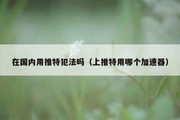 在国内用推特犯法吗（上推特用哪个加速器）